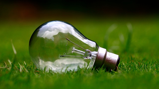 Green grass with lightbulb resting on it.